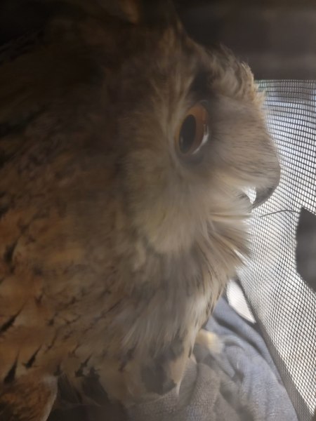待合室でのようす