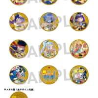 ぷれみあむチケットB：メダル12個セット