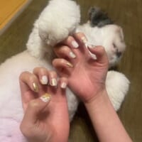 撮影中のようす