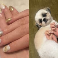 映えるネイル写真の秘密はワンちゃんだった？意外過ぎた撮影の裏側