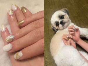 映えるネイル写真の秘密はワンちゃんだった？意外過ぎた撮影の裏側