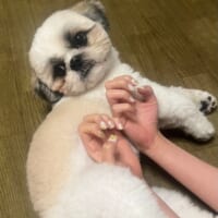 撮影時のちょん吉くん