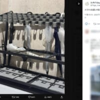 大学の傘置き場でワドルディ発見？カービィファン驚き