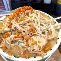 まず野菜を片付けなければ麺にたどり着けない