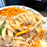 やっとたどり着いた極太麺。食べても食べても無限に湧いてくる