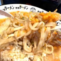 やっとたどり着いた極太麺。食べても食べても無限に湧いてくる