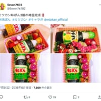 3種の味ぽん弁当