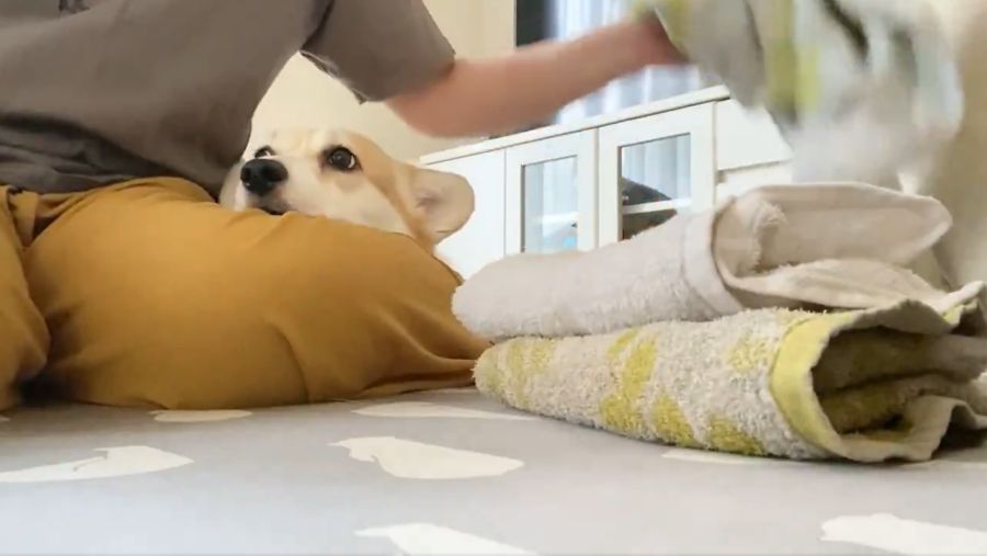 あんずちゃんにとって至福の時間なのでしょう