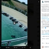 アザラシ幼稚園のタイルが、「Japanniversary」と銘打ち、出品されることに