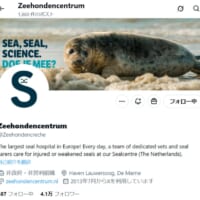 アザラシ幼稚園で人気のオランダ施設　旧プールのタイルをオークション販売へ