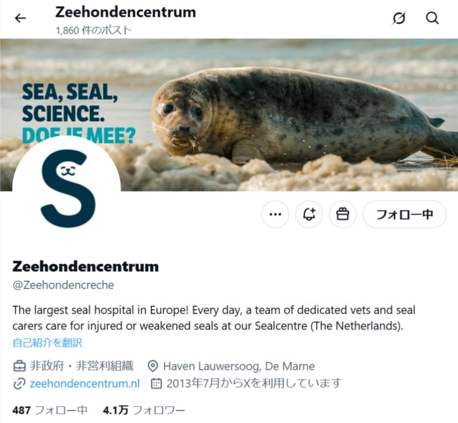 アザラシ幼稚園で人気のオランダ施設　旧プールのタイルをオークション販売へ