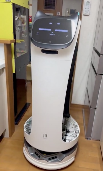 キッチンに現れるベラボット