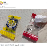 肘樹さんの投稿