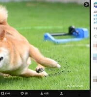 見事な急傾斜
