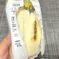 背面側からはみ出している