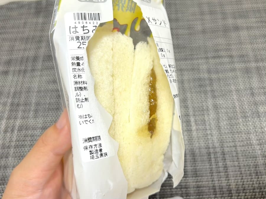 背面側からはみ出している