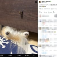 いつも気がつくとこの体勢に