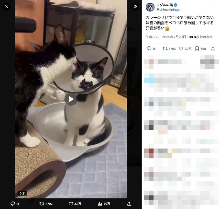 妹のために顔をペロペロ