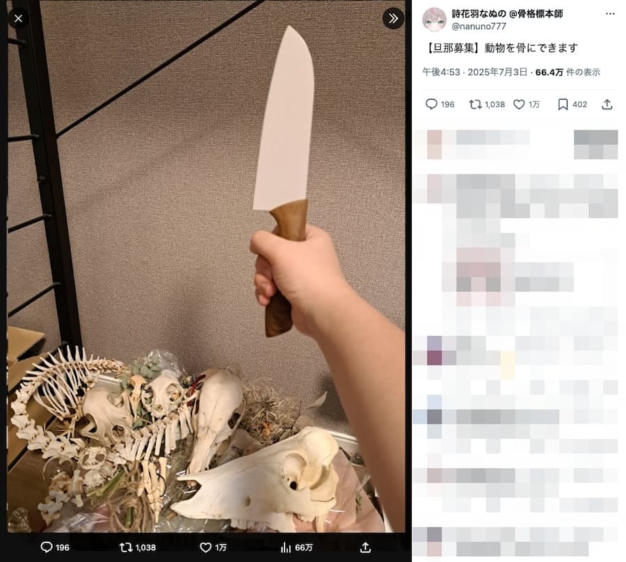 普段は文系の大学生