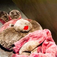 人の数だけ「怖さ」がある　さまざまな“恐怖心”に触れる「恐怖心展」体験レポ
