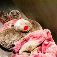 ボロボロに朽ちたぬいぐるみ