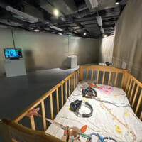 「『社会』に対する恐怖心」ゾーン