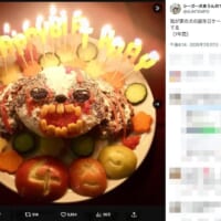 家族からも悲鳴が上がるクオリティ