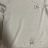 Tシャツにはコダマが
