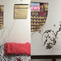 過去には壁のラクガキを花の模様に