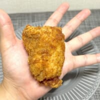 手のひらを少しはみ出すサイズ