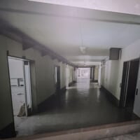 一見すると何の変哲もない写真