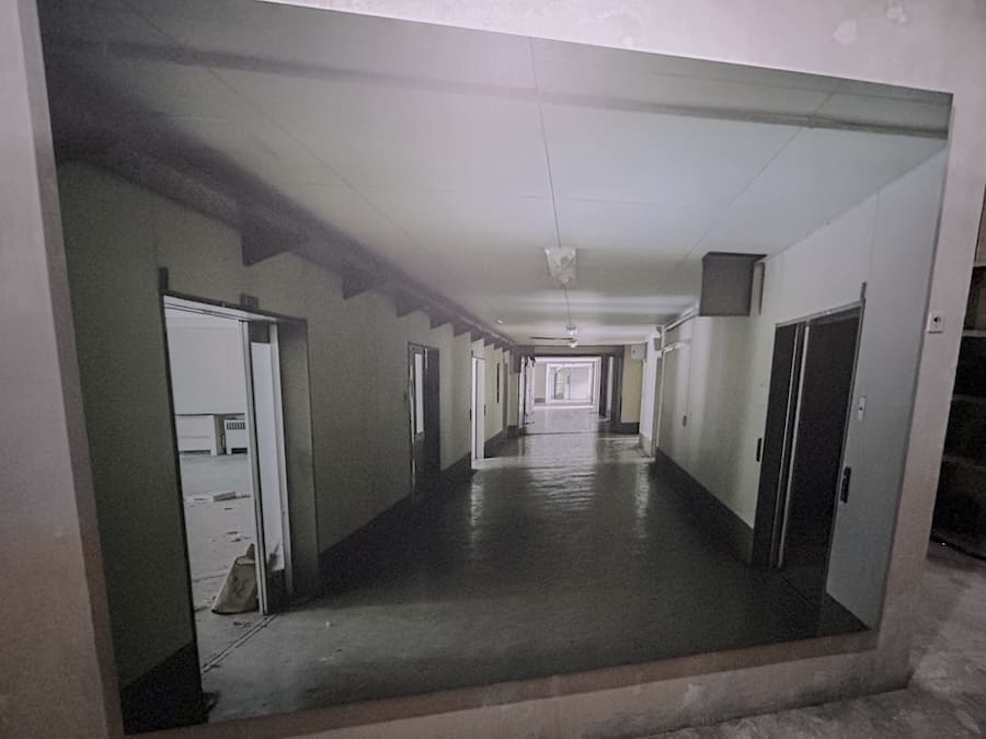 一見すると何の変哲もない写真