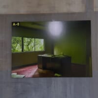 専用のフィルムを通す前