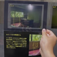 専用のフィルム