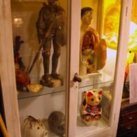 人体模型などが入った棚