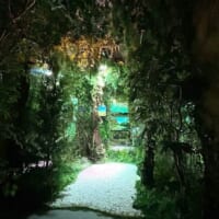 「観察院 – パワースポット」