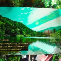 自然豊かな風景写真に写る“何か”
