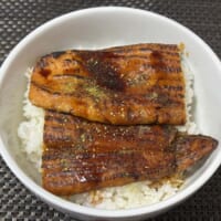 見た目は完全にうなぎ丼