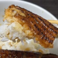 「皮付き感」まで作り込んでいる