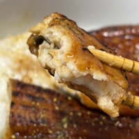 本物のうなぎそっくり