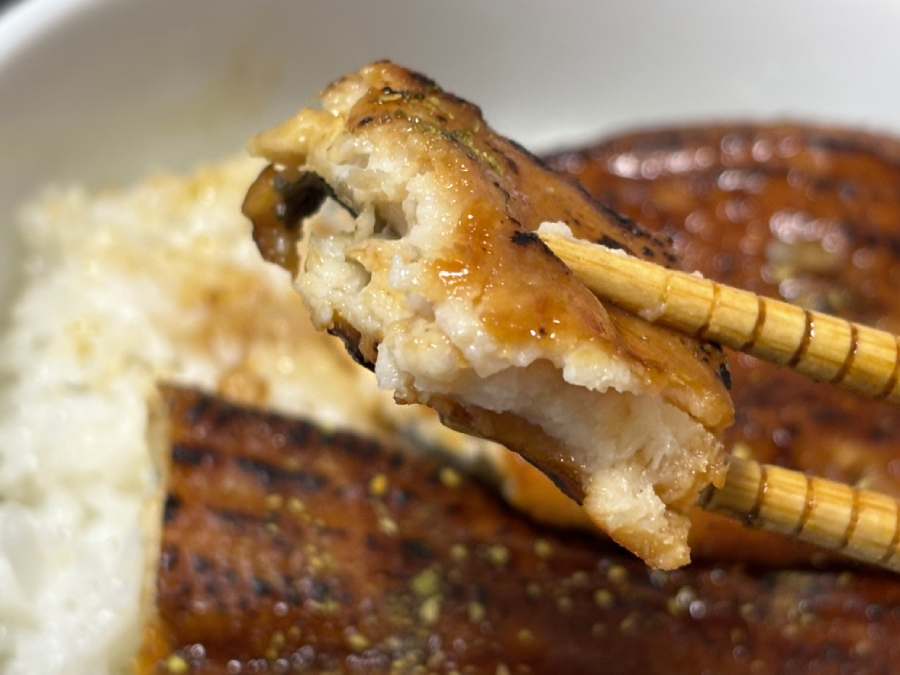 本物のうなぎそっくり