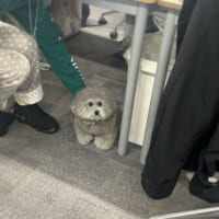 背中を押されるビーアくん