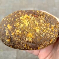 鬼カレーパン