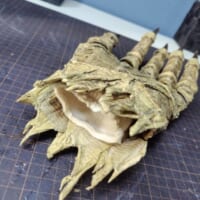 内側にはグローブを内蔵