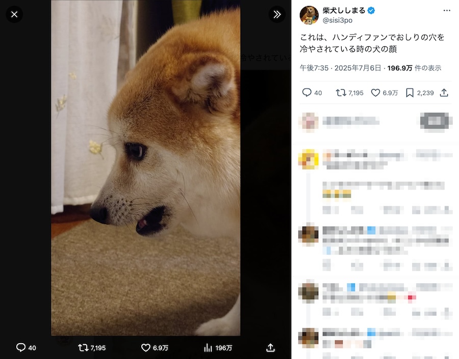 絶妙な表情のししまるくん