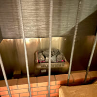 すさまじい熱を放つサウナヒーター