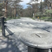 霧島を降灰が直撃