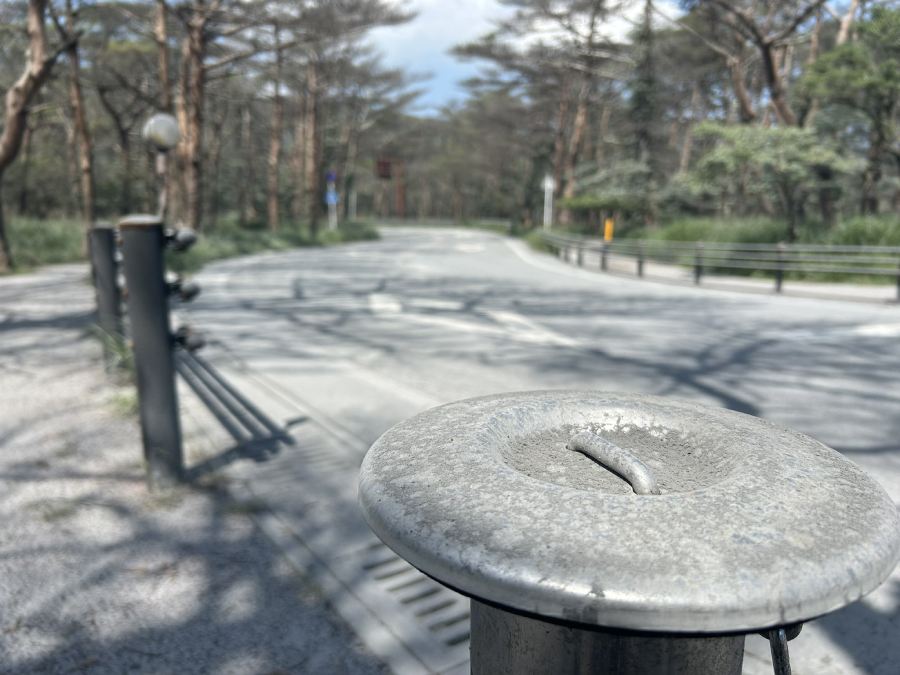 霧島を降灰が直撃