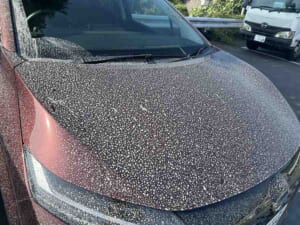 鹿児島に着いて5分で洗礼……火山灰だらけになった車が悲しすぎる