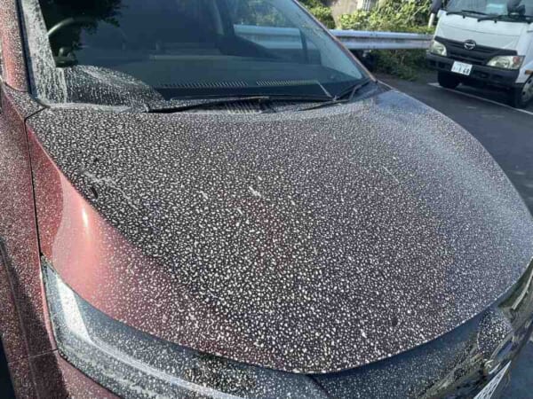 鹿児島に着いて5分で洗礼……火山灰だらけになった車が悲しすぎる